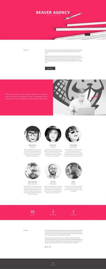 Beaver Builder Agency Templates